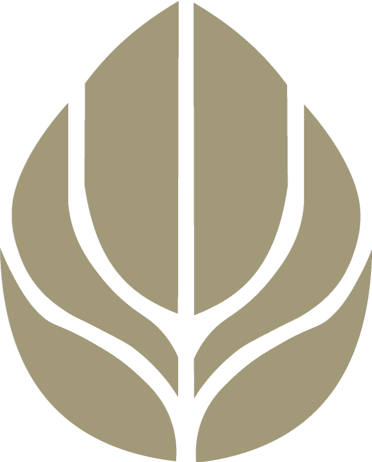 Van Kalker Brainspotting